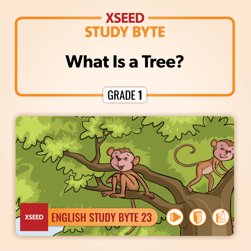 What is a Tree? [G1]