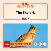 The Skylark [G5]