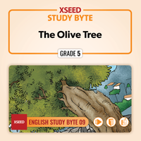 The Olive Tree [G5]