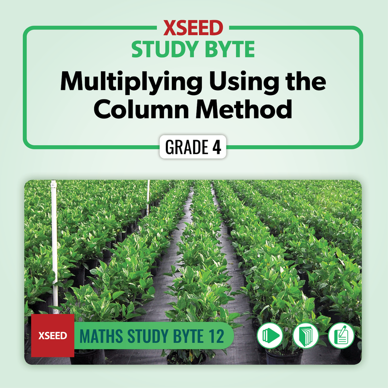 Multiplying Using the Column Method [G4]