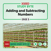 Adding and Subtracting Numbers [G5]