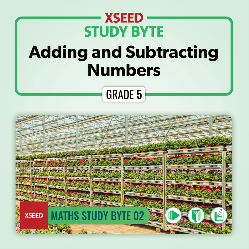 Adding and Subtracting Numbers [G5]