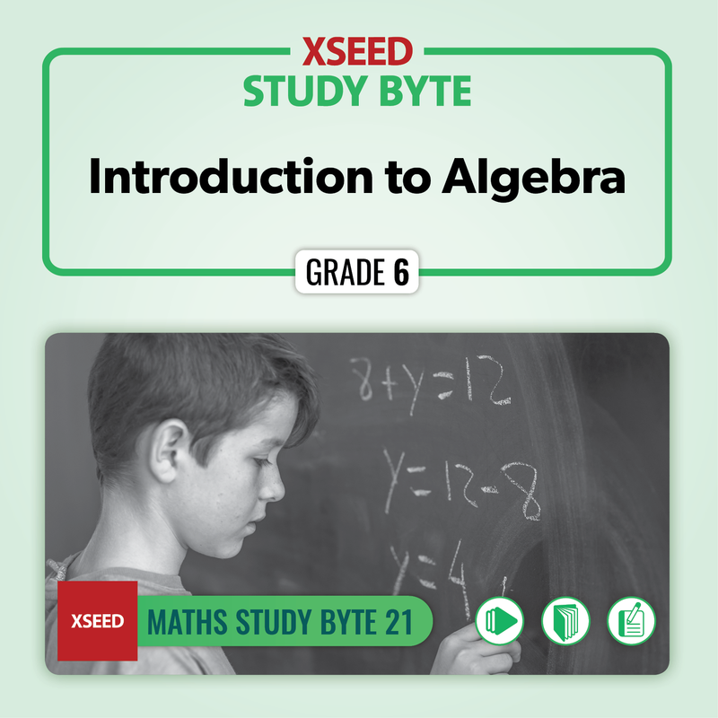 Introduction to Algebra [G6]