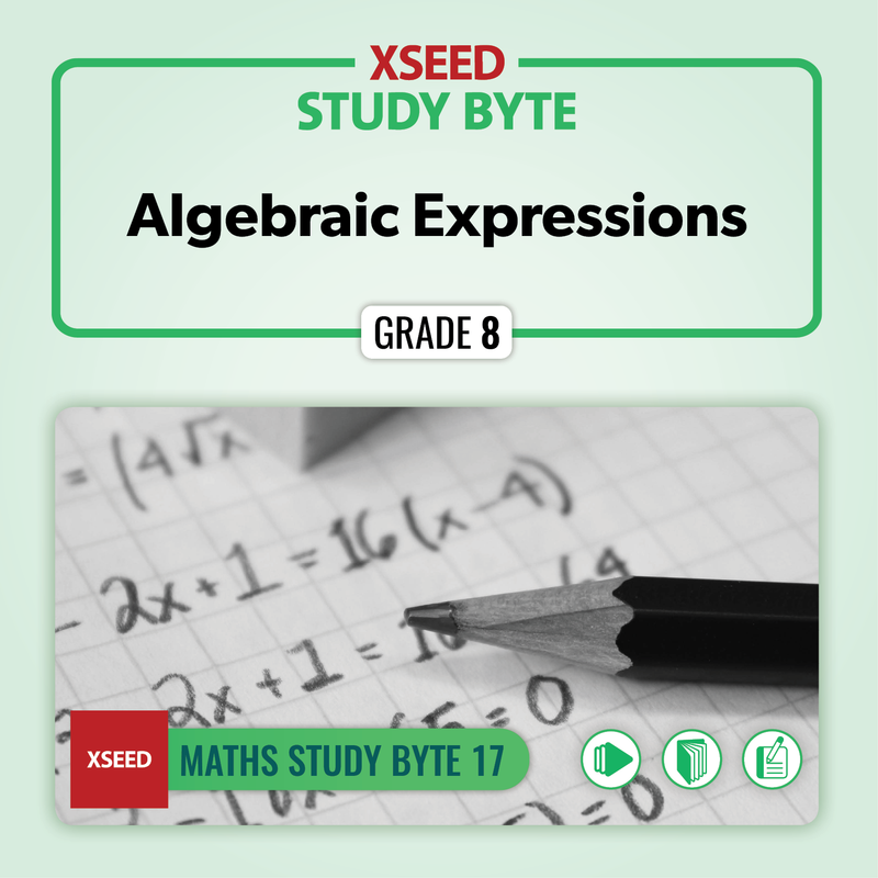 Algebraic Expressions [G8]