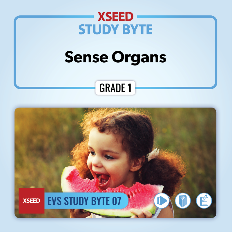 Sense Organs [G1]