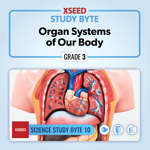 Organ Systems of Our Body [G3]