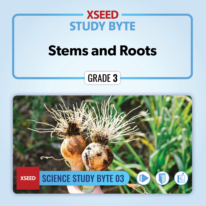 Stems and Roots [G3]