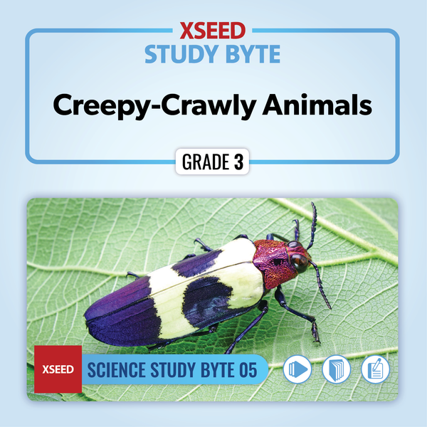 Creepy-Crawly Animals [G3]