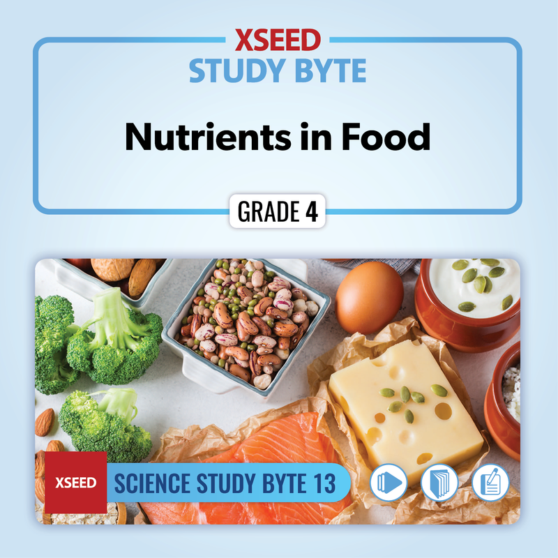 Nutrients in Food [G4]