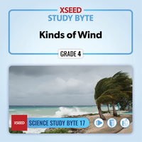 Kinds of Wind [G4]