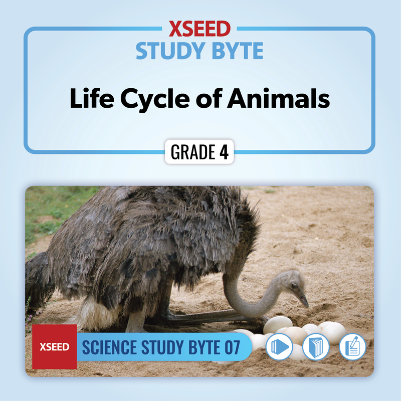 Life Cycle of Animals [G4]