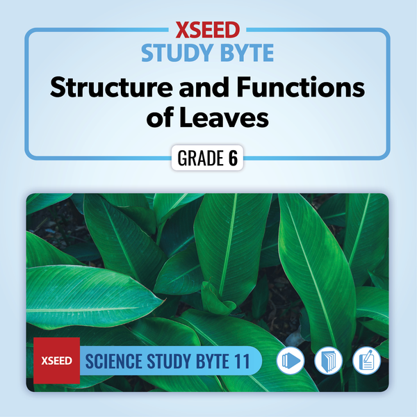 Structure and Functions of Leaves [G6]