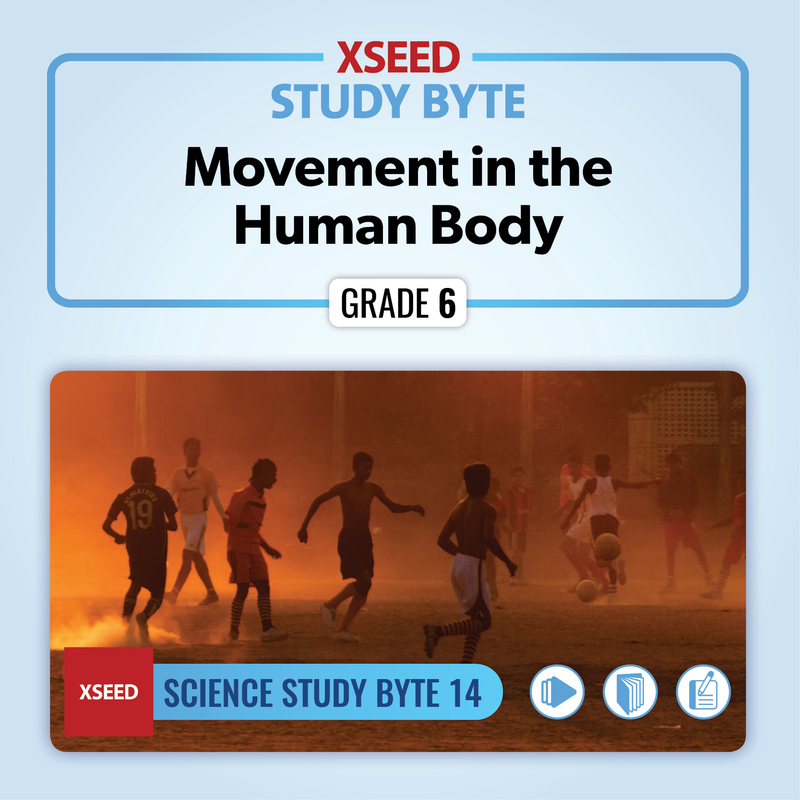 Movement in the Human Body [G6]