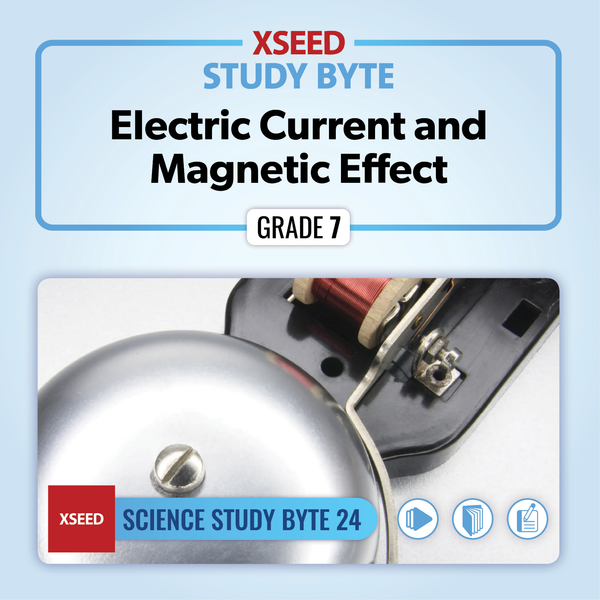 Electric Current and Magnetic Effect [G7]