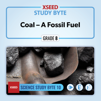 Coal – A Fossil Fuel [G8]