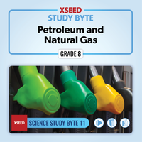 Petroleum and Natural Gas [G8]