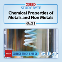 Chemical Properties of Metals and Non Metals [G8]