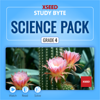 Grade 4 Science - All topics