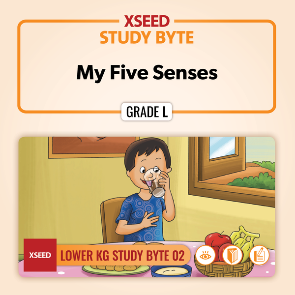 My Five Senses [LKG]